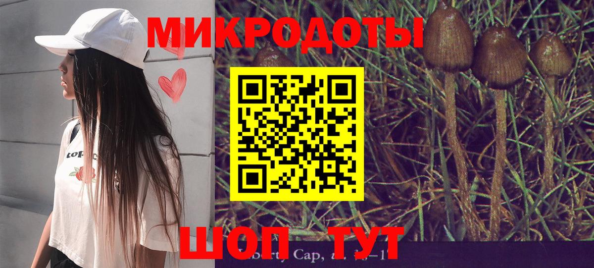 Псилоцибиновые грибы Psilocybine cubensis Строитель